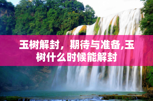 玉树解封，期待与准备,玉树什么时候能解封