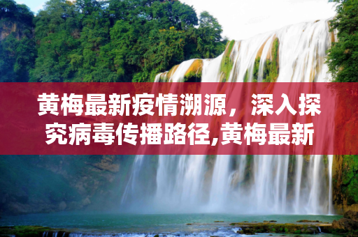 黄梅最新疫情溯源，深入探究病毒传播路径,黄梅最新疫情溯源