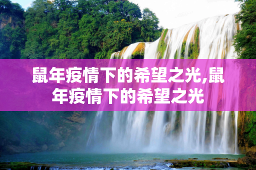 鼠年疫情下的希望之光,鼠年疫情下的希望之光