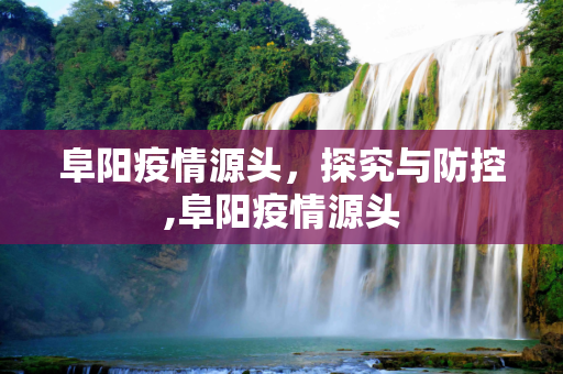 阜阳疫情源头，探究与防控,阜阳疫情源头