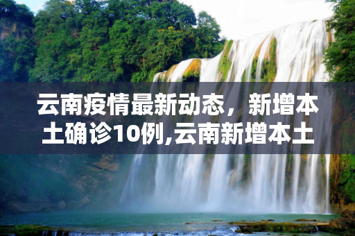 云南疫情最新动态，新增本土确诊10例,云南新增本土确诊10例