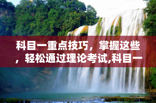 科目一重点技巧，掌握这些，轻松通过理论考试,科目一重点技巧