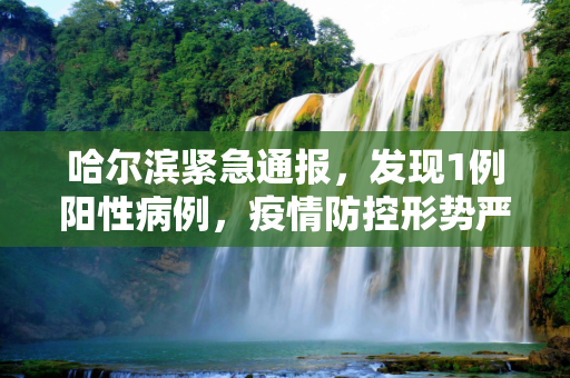 哈尔滨紧急通报，发现1例阳性病例，疫情防控形势严峻,哈尔滨发现1例阳性