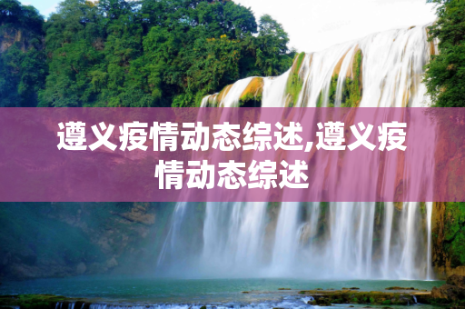 遵义疫情动态综述,遵义疫情动态综述