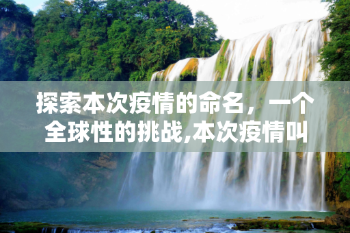 探索本次疫情的命名，一个全球性的挑战,本次疫情叫什么