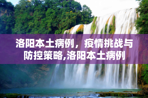 洛阳本土病例，疫情挑战与防控策略,洛阳本土病例