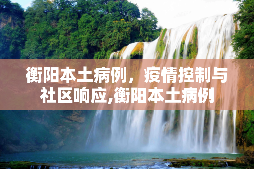 衡阳本土病例，疫情控制与社区响应,衡阳本土病例