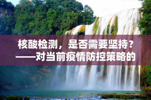 核酸检测，是否需要坚持？——对当前疫情防控策略的深入探讨,回应是否需坚持做核酸