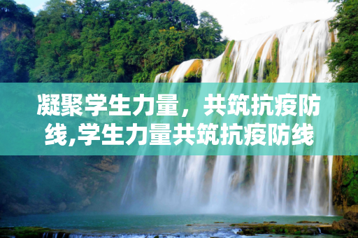 凝聚学生力量，共筑抗疫防线,学生力量共筑抗疫防线