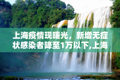 上海疫情现曙光，新增无症状感染者降至1万以下,上海新增无症状降至1万以下