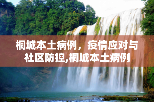 桐城本土病例，疫情应对与社区防控,桐城本土病例