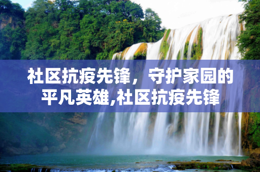 社区抗疫先锋，守护家园的平凡英雄,社区抗疫先锋