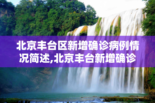 北京丰台区新增确诊病例情况简述,北京丰台新增确诊的简单介绍