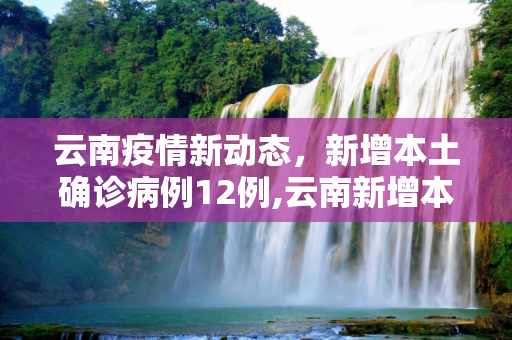 云南疫情新动态，新增本土确诊病例12例,云南新增本土确诊病例12例