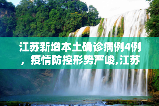 江苏新增本土确诊病例4例，疫情防控形势严峻,江苏新增本土确诊病例4例