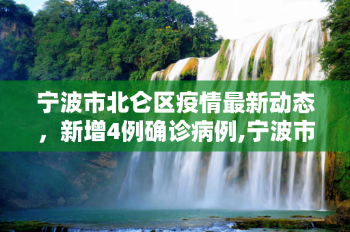 宁波市北仑区疫情最新动态，新增4例确诊病例,宁波市北仑区新增4例确诊