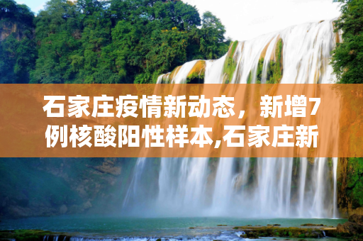 石家庄疫情新动态，新增7例核酸阳性样本,石家庄新增7例核酸阳性样本