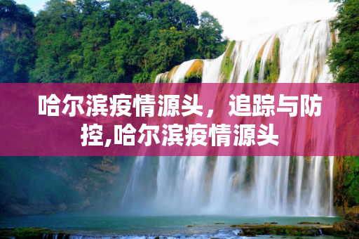 哈尔滨疫情源头，追踪与防控,哈尔滨疫情源头