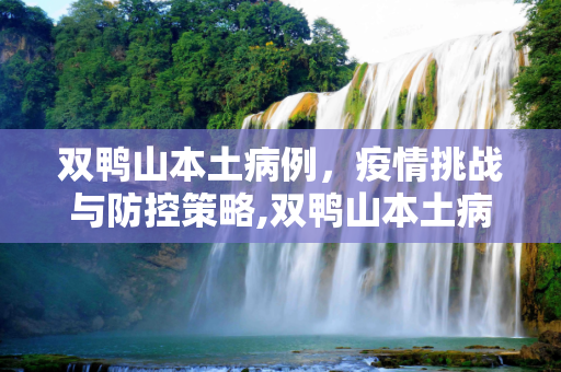 双鸭山本土病例，疫情挑战与防控策略,双鸭山本土病例