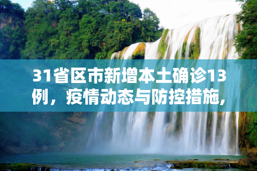 31省区市新增本土确诊13例，疫情动态与防控措施,31省区市新增本土确诊13例
