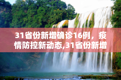 31省份新增确诊16例，疫情防控新动态,31省份新增确诊16例