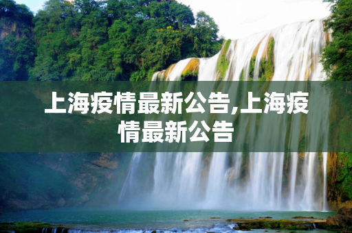 上海疫情最新公告,上海疫情最新公告