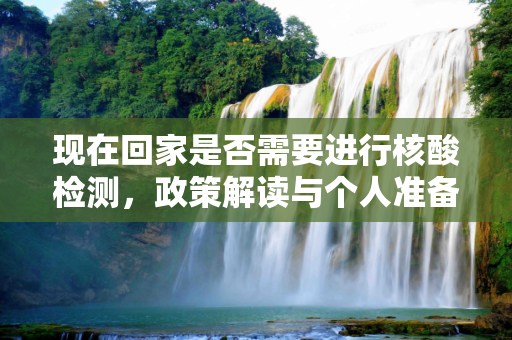现在回家是否需要进行核酸检测，政策解读与个人准备,现在回家要做核酸检测吗