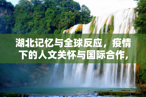 湖北记忆与全球反应，疫情下的人文关怀与国际合作,湖北记忆与全球反应