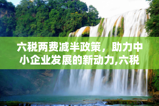 六税两费减半政策，助力中小企业发展的新动力,六税两费减半政策
