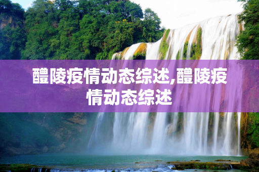 醴陵疫情动态综述,醴陵疫情动态综述