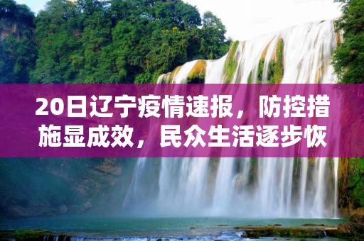 20日辽宁疫情速报，防控措施显成效，民众生活逐步恢复,20日辽宁疫情速报