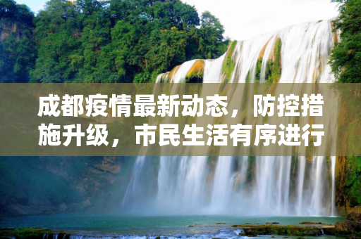成都疫情最新动态，防控措施升级，市民生活有序进行,成都疫情最新新闻