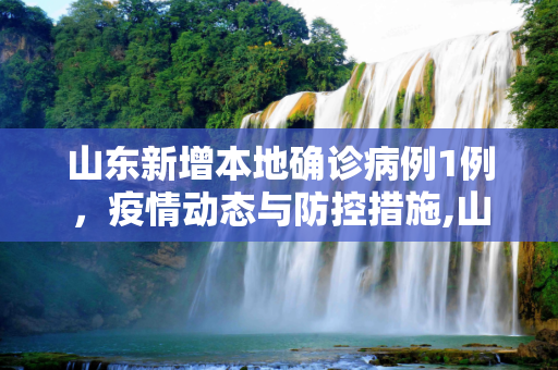 山东新增本地确诊病例1例，疫情动态与防控措施,山东新增本地确诊病例1例