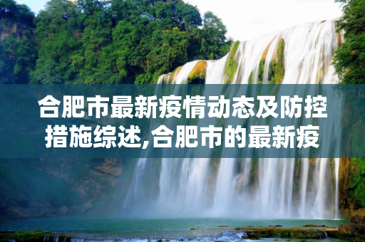 合肥市最新疫情动态及防控措施综述,合肥市的最新疫情