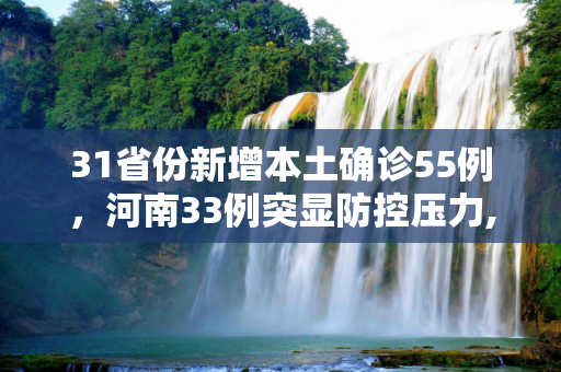 31省份新增本土确诊55例，河南33例突显防控压力,31省份新增本土确诊55例 河南33例