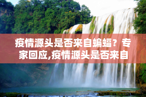 疫情源头是否来自蝙蝠？专家回应,疫情源头是否来自蝙蝠？专家回应