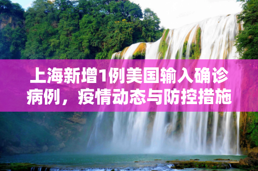 上海新增1例美国输入确诊病例，疫情动态与防控措施,上海新增1例美国输入确诊病例