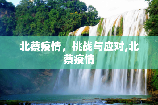 北蔡疫情，挑战与应对,北蔡疫情