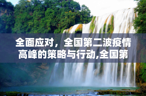 全面应对，全国第二波疫情高峰的策略与行动,全国第二波疫情高峰应对策略