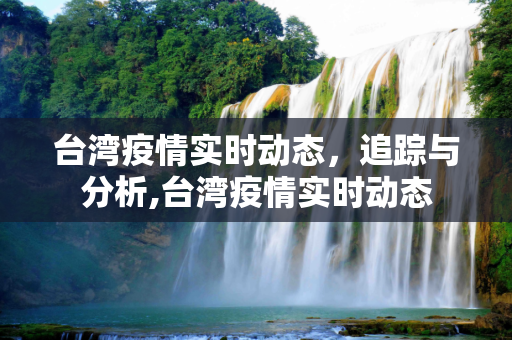 台湾疫情实时动态，追踪与分析,台湾疫情实时动态