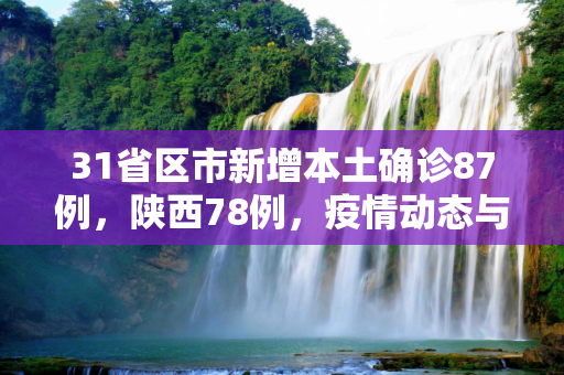 31省区市新增本土确诊87例，陕西78例，疫情动态与防控措施,31省区市新增本土确诊87例陕西78例