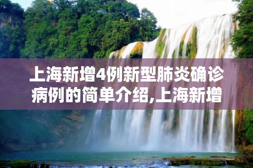 上海新增4例新型肺炎确诊病例的简单介绍,上海新增4例新型肺炎确诊病例的简单介绍