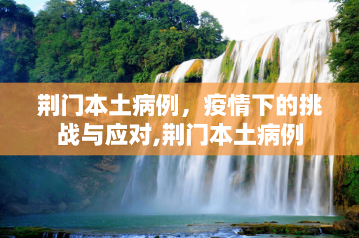 荆门本土病例，疫情下的挑战与应对,荆门本土病例