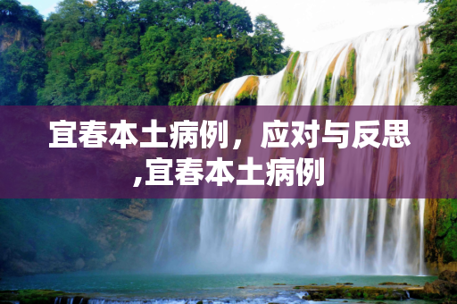 宜春本土病例，应对与反思,宜春本土病例