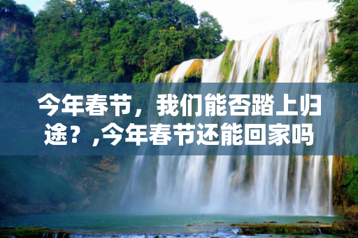 今年春节，我们能否踏上归途？,今年春节还能回家吗