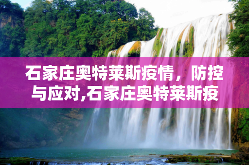 石家庄奥特莱斯疫情，防控与应对,石家庄奥特莱斯疫情