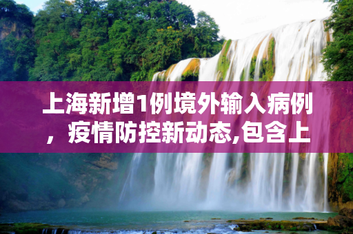 上海新增1例境外输入病例，疫情防控新动态,包含上海新增1例境外输入病例的词条
