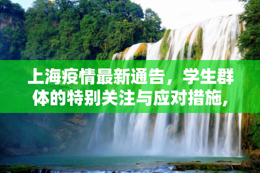 上海疫情最新通告，学生群体的特别关注与应对措施,上海疫情最新通告学生