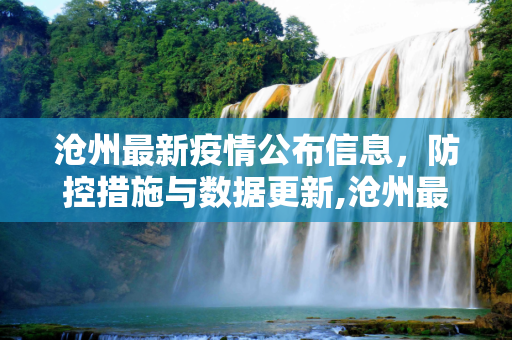 沧州最新疫情公布信息，防控措施与数据更新,沧州最新疫情公布信息