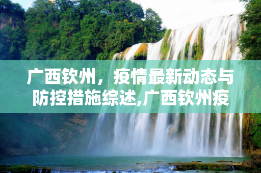 广西钦州，疫情最新动态与防控措施综述,广西钦州疫情最新消息